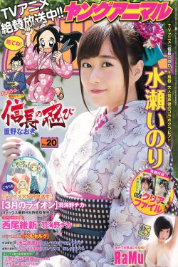 金花瓶楷梅花7