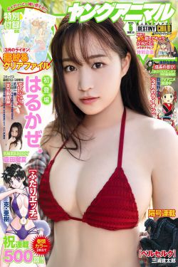 成人区精品一区二区婷婷